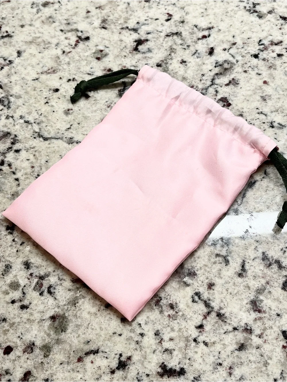 Kate Spade Dust Bag EUC